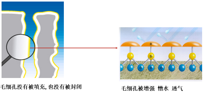 有機硅建筑防水劑工作原理